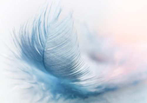 beautiful-nature-3010848