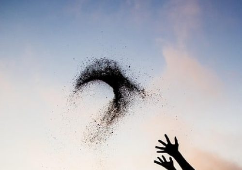 giselaatje-beach-2844141_640